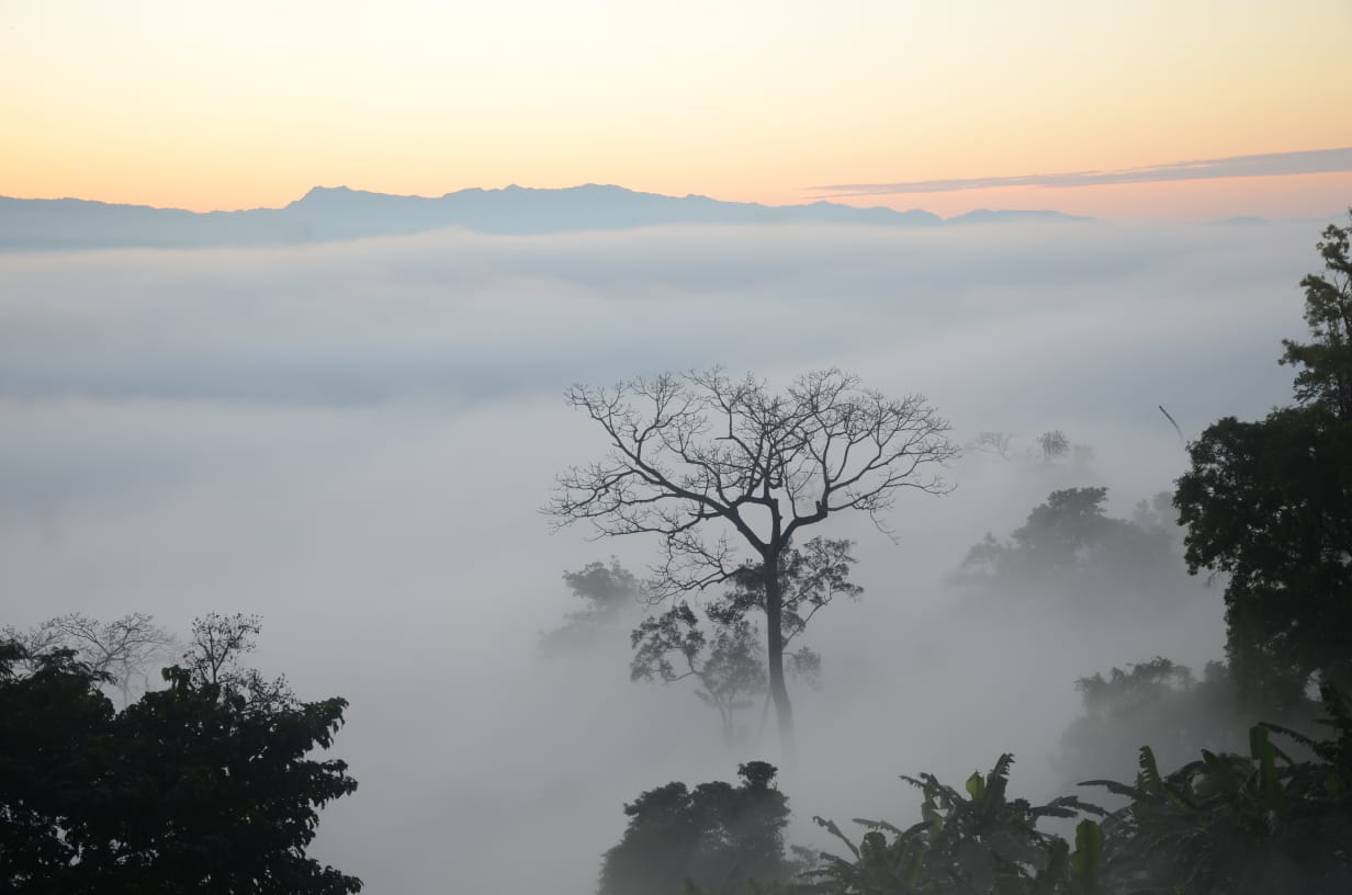Above the Clouds